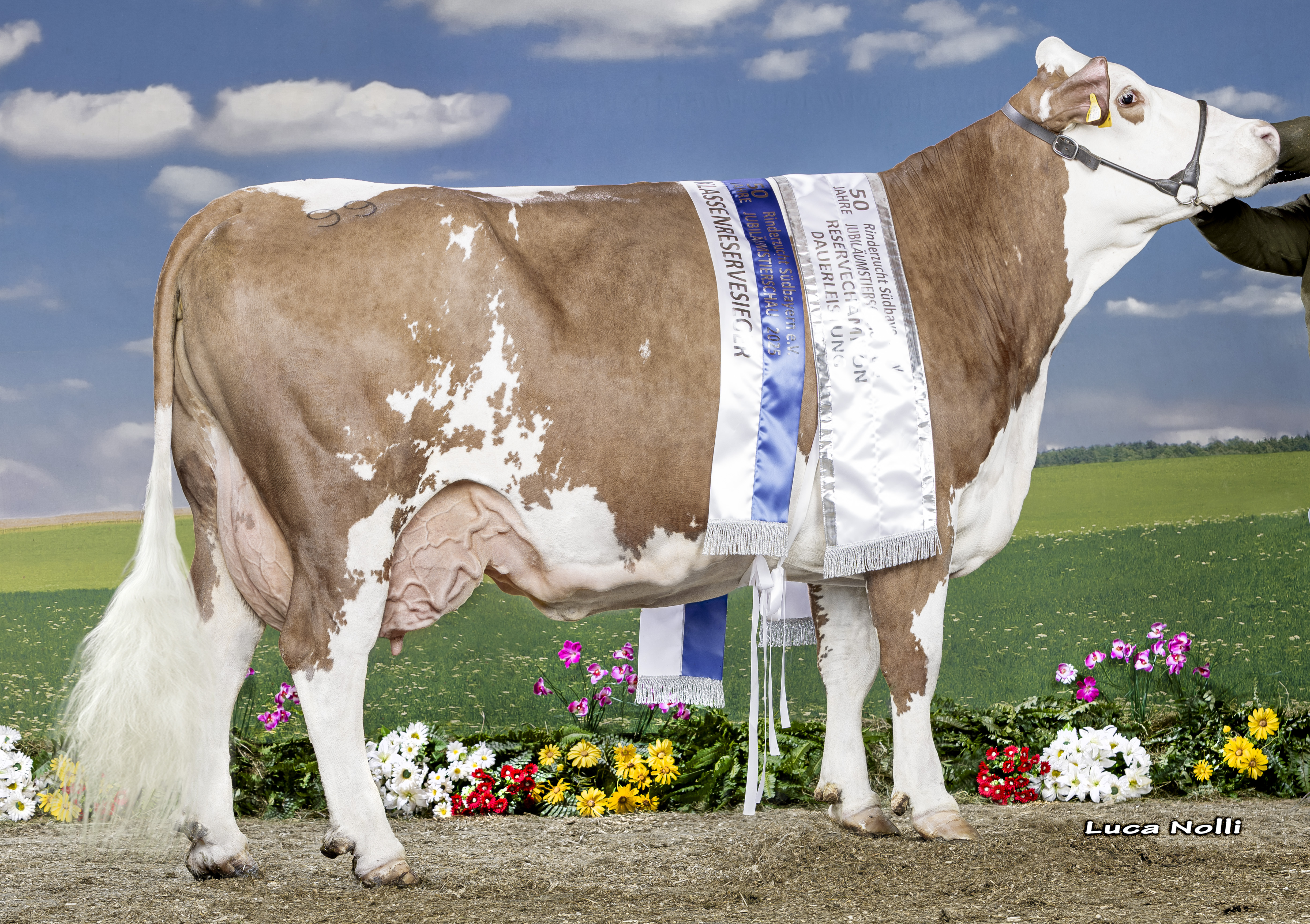 15 02 2025 DE0952511403 Krug ZEPTER Alka 