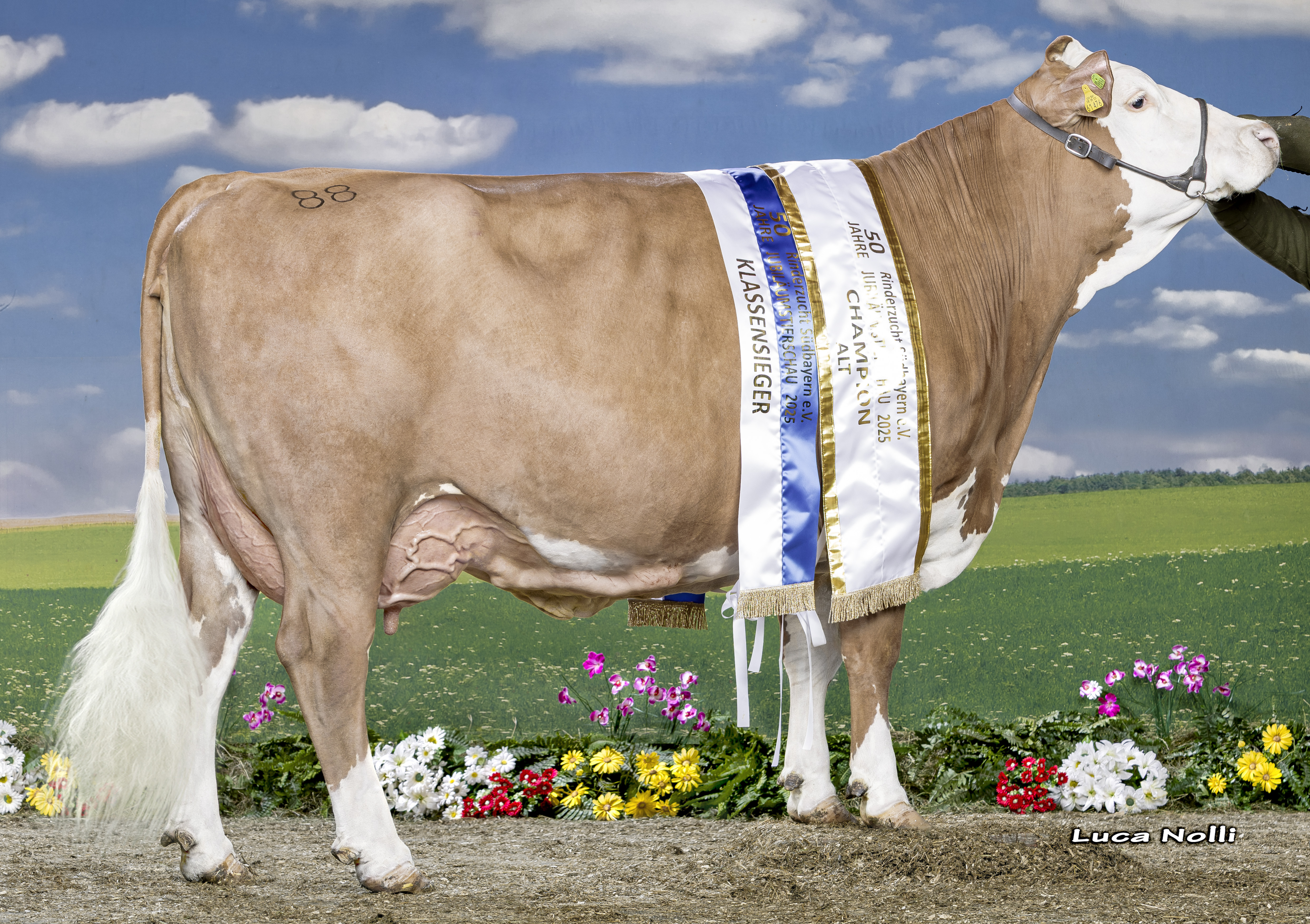 15 02 2025 DE0953161476 Huber VERNANDO Merane 