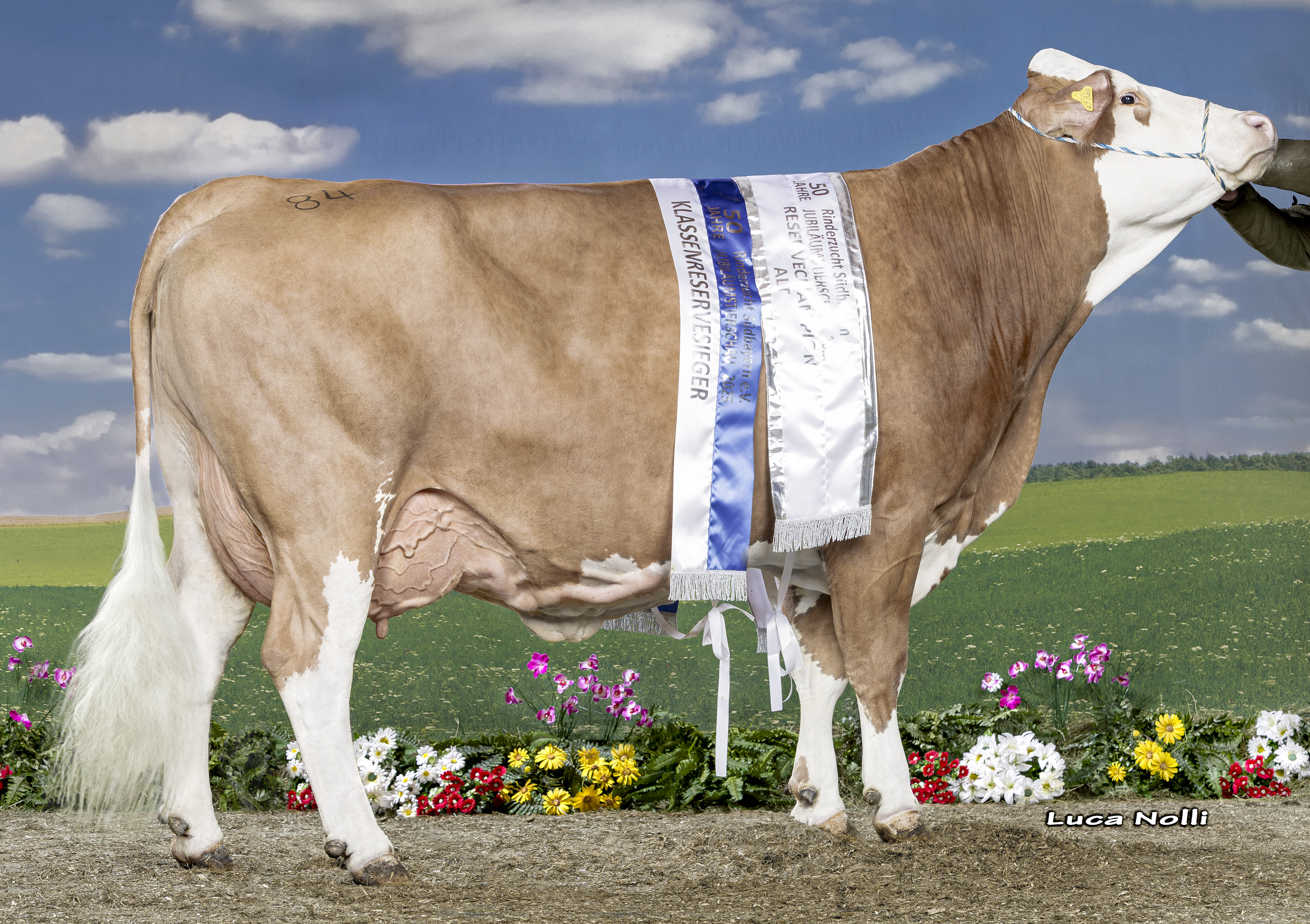 15 02 2025 DE0953747046 Lechner ZUR FREUDE Freude 