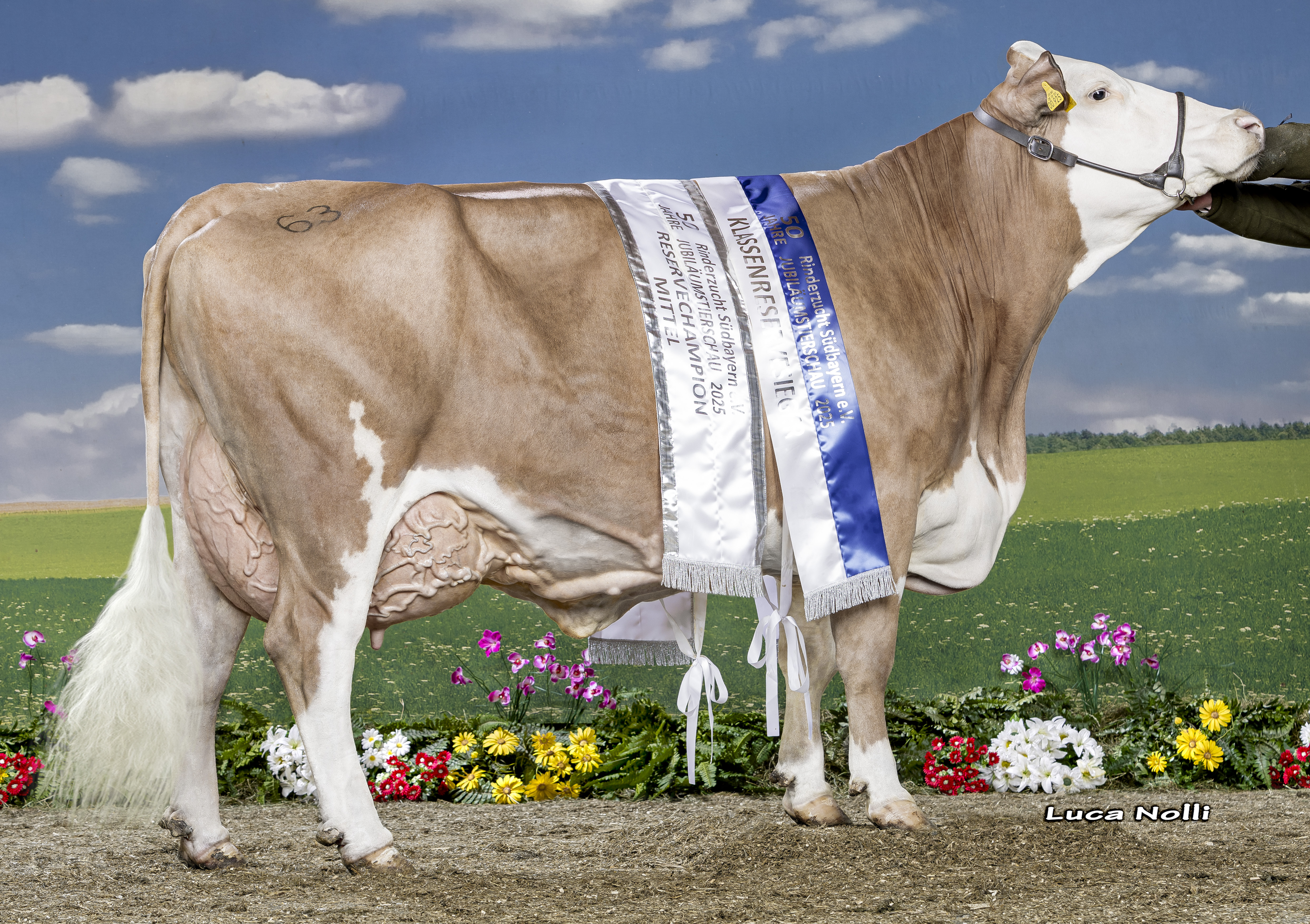 15 02 2025 DE0955300925 Niedermair MIDWEST Paris 