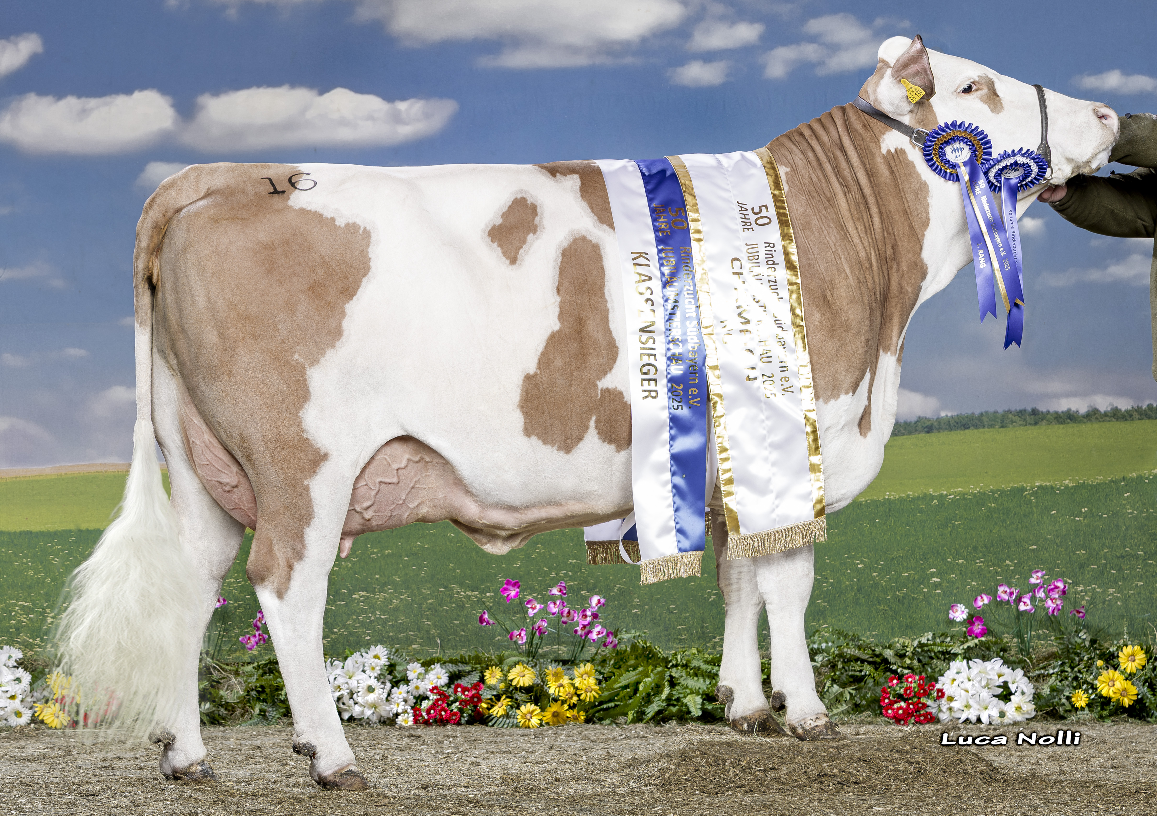 15 02 2025 DE0957235139 Rauchenberger MAJESTIX Erina 