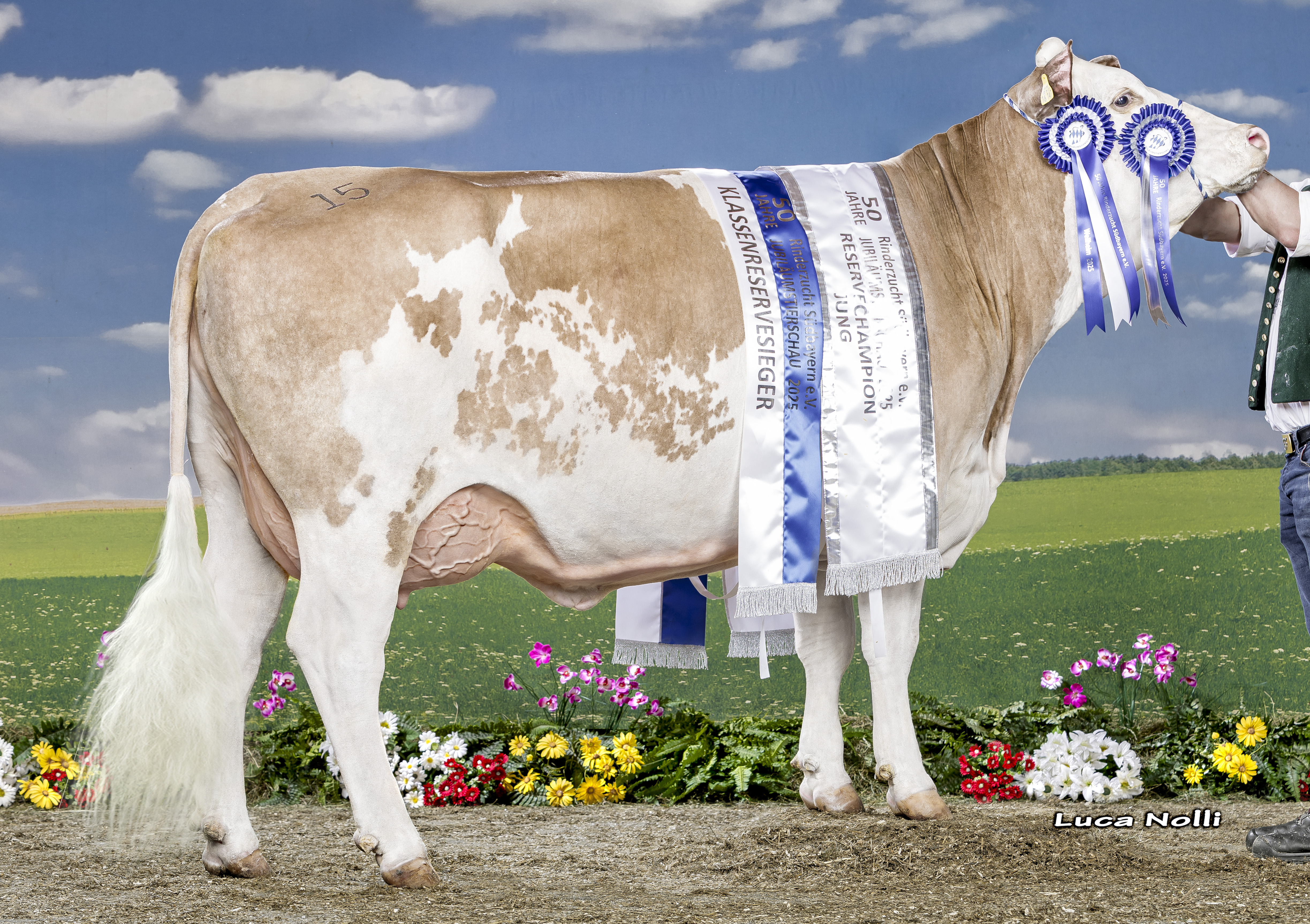 15 02 2025 DE0957716147 Fuchs HEPHAISTOS Britta 